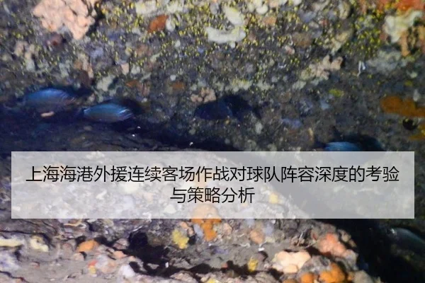 上海海港外援连续客场作战对球队阵容深度的考验与策略分析